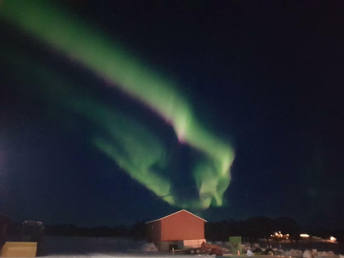 1 Room In The Yellow House, Close To Airport & Lofoten Evenskjer Zewnętrze zdjęcie