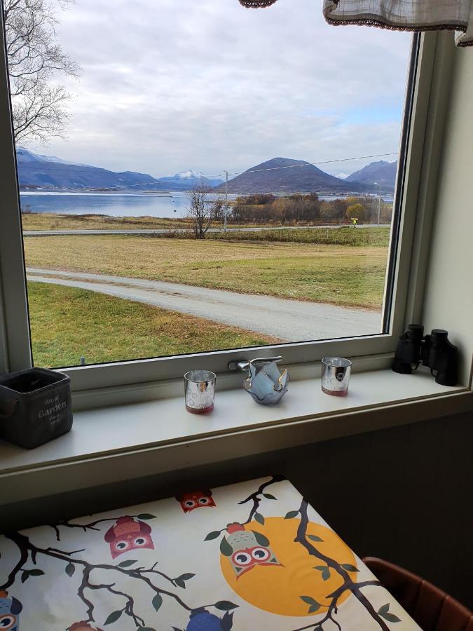 1 Room In The Yellow House, Close To Airport & Lofoten Evenskjer Zewnętrze zdjęcie