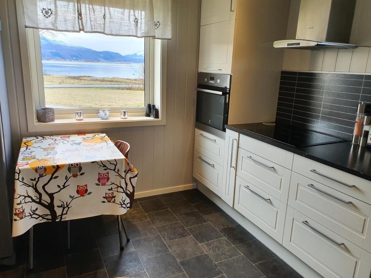 1 Room In The Yellow House, Close To Airport & Lofoten Evenskjer Zewnętrze zdjęcie