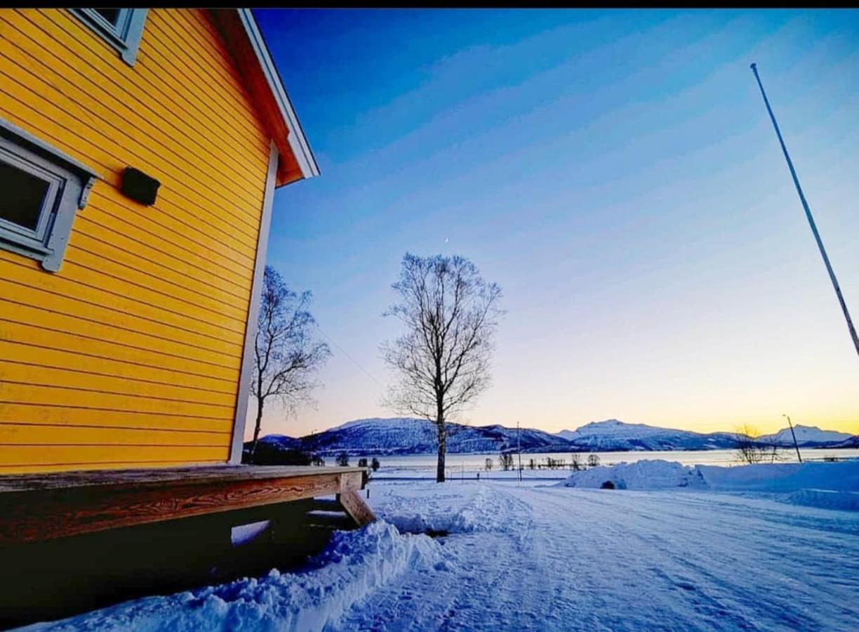 1 Room In The Yellow House, Close To Airport & Lofoten Evenskjer Zewnętrze zdjęcie